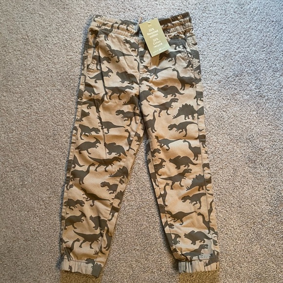 H&M Other - Nwt boys dinosaur joggers